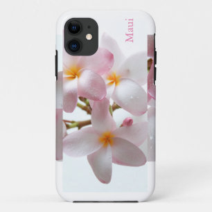Plumeria-Blumen Maui Hawaii title_seo2