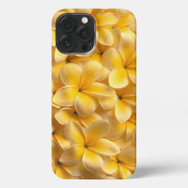 Plumeria Blumen Yellow iPhone 13 Pro Max Hülle (Rückseite)