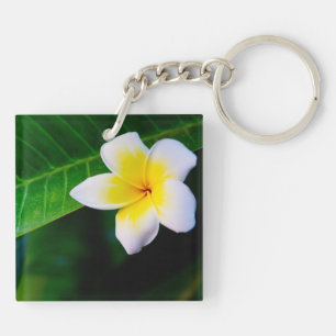Plumeria-Blumenfotografie Schlüsselanhänger