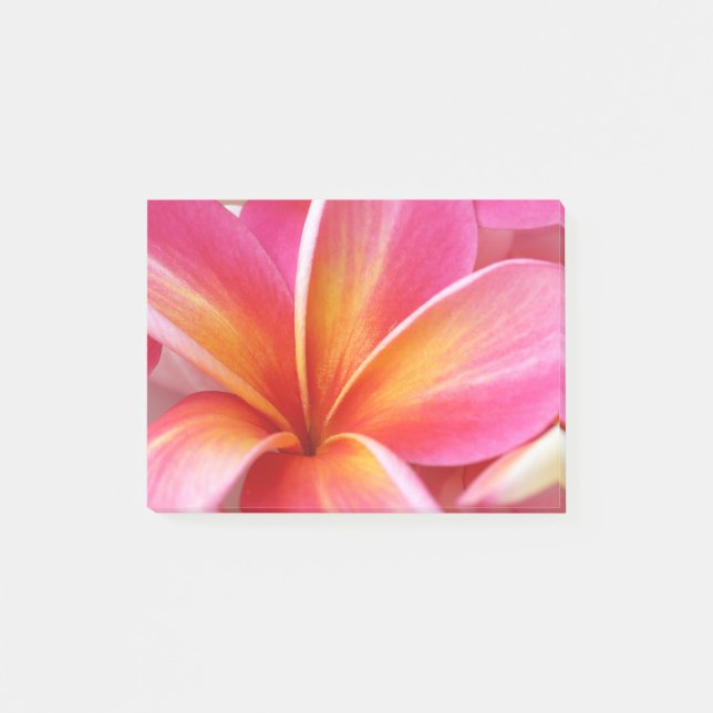 Plumeria-Blumenhawaiischer Frangipani-BlumenBlume Post-it Klebezettel (Vorderseite)