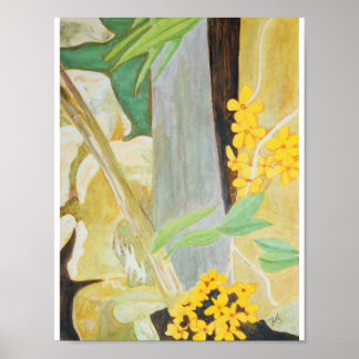 Plumeria Blüten in Creekbed Wasserfarbe Poster