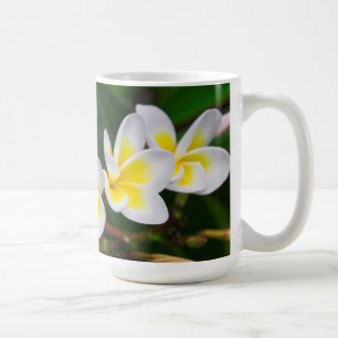 Plumeria-Blüten Nahaufnahme, Hawaii Kaffeetasse
