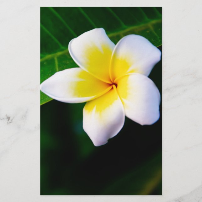 Plumeria Briefpapier (Vorderseite)