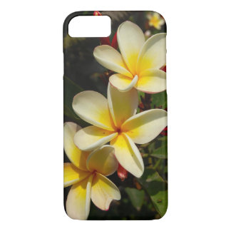 Plumeria title_seo2