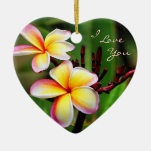 Plumeria d'arc-en-ciel, je t'aime ornement