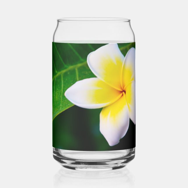 Plumeria Dosenglas (Links)