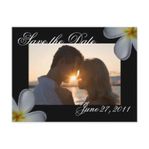 Plumeria Enregistrer la date Carte postale