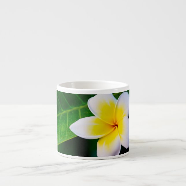 Plumeria Espressotasse (Vorderseite)