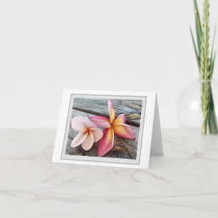 Plumeria fleurit