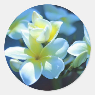 Plumeria Flower Runder Aufkleber