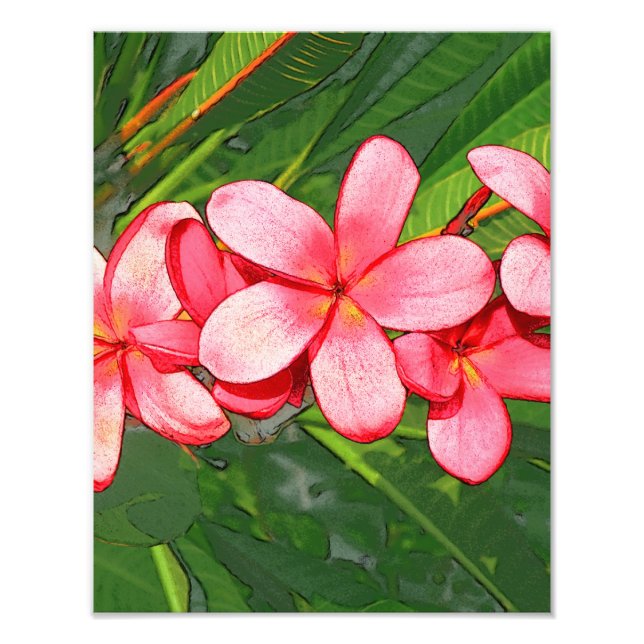 Plumeria Fotodruck (Vorne)