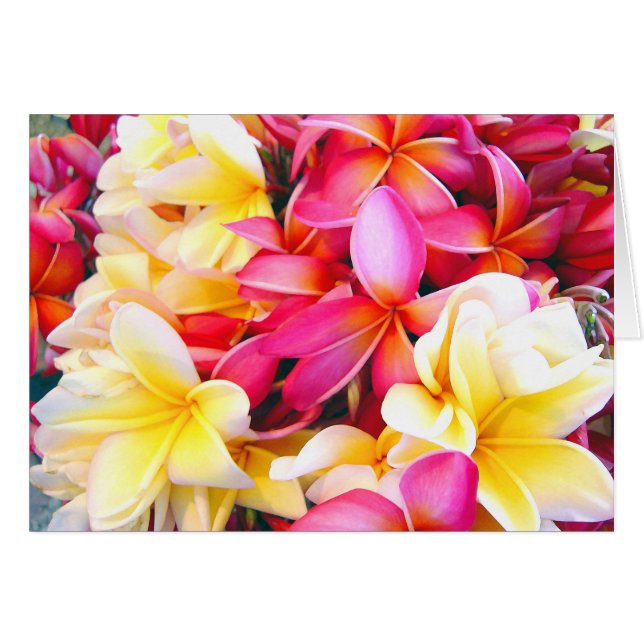 Plumeria Frangipani Floral Photo peinture numériqu (Devant horizontal)