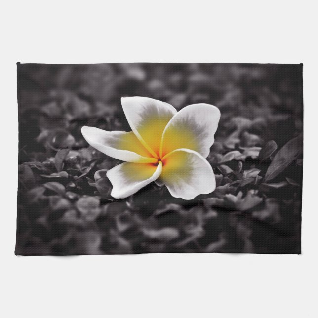 Plumeria Frangipani Hawaii Blume Küchentuch (Horizontal)