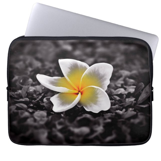 Plumeria Frangipani Hawaii Blume Laptopschutzhülle (Vorderseite)