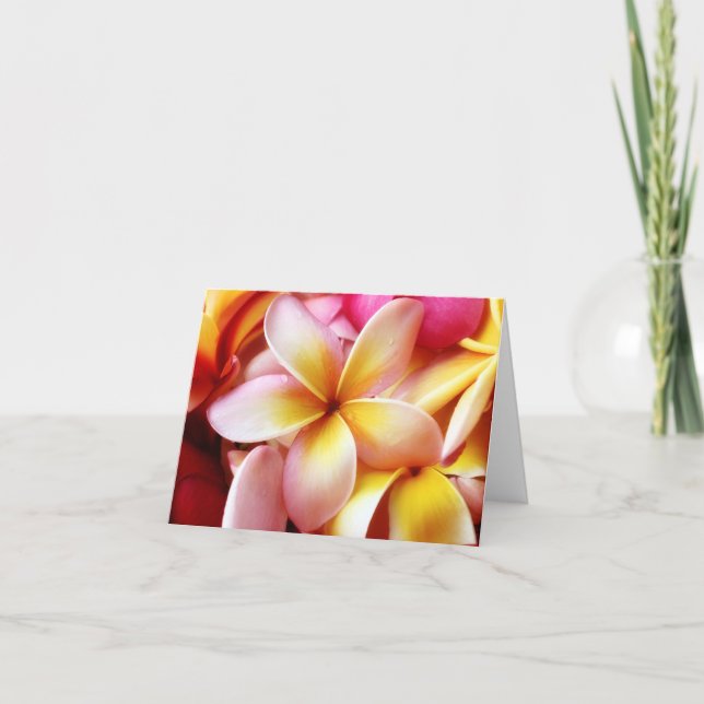 Plumeria Frangipani Hawaii Blume Maßgeschneiderte  Karte (Vorderseite)