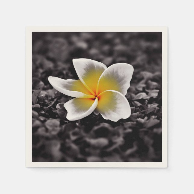 Plumeria Frangipani Hawaii Blume Serviette (Vorderseite)