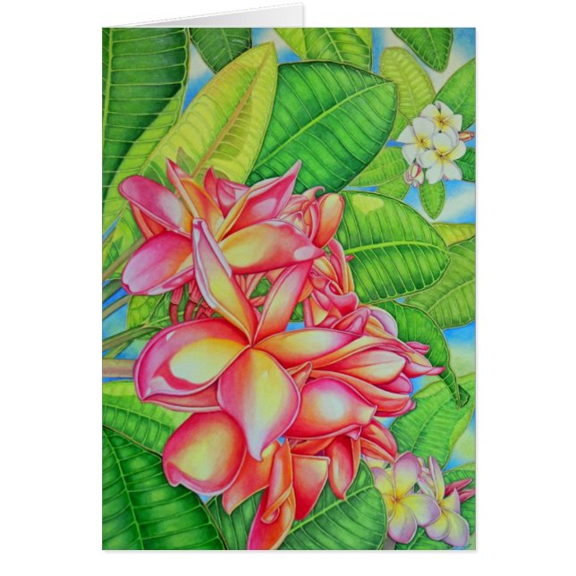 Plumeria-Garten (Vorne)