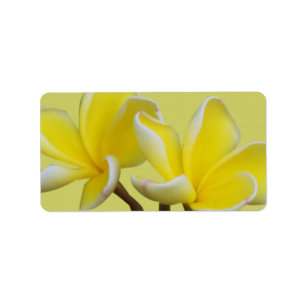 Plumeria-Geschäftsadresse/Verschiffen-Aufkleber Adressaufkleber