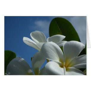 Plumeria-Geschenk-Karte