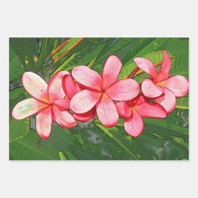 Plumeria Geschenkpapier Set (Vorderseite 3)