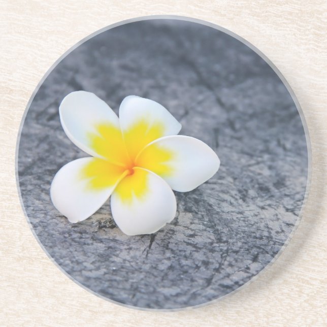 Plumeria Getränkeuntersetzer (Vorne)
