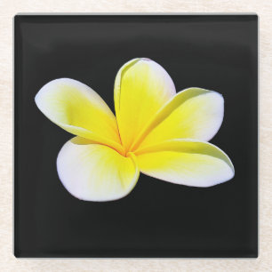 Plumeria Glass Untersetzer