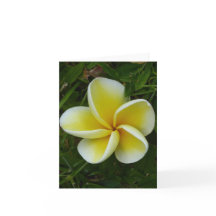 Plumeria hawaïenne jaune Carte de voeux pliée