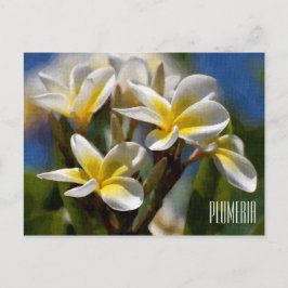 Plumeria Horizontal Postcard Postkarte