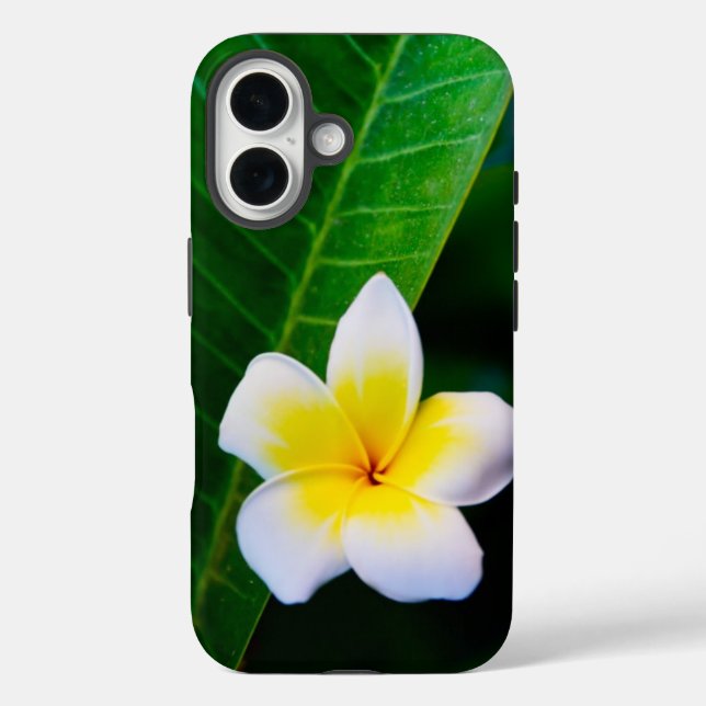 Plumeria iPhone 16 Hülle (Rückseite)