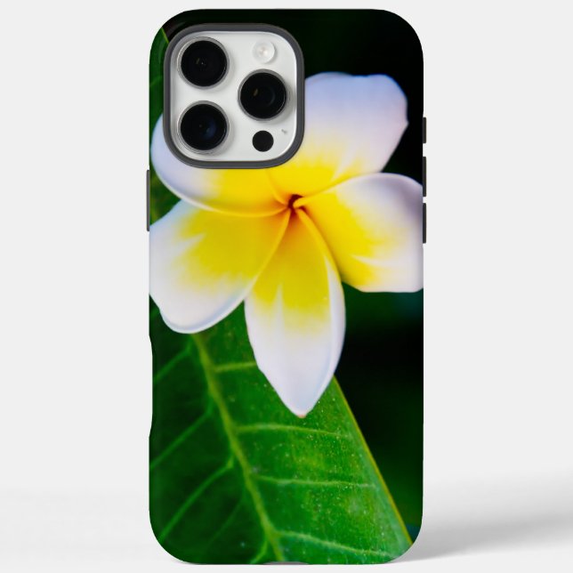 Plumeria iPhone 16 Pro Max Hülle (Rückseite)