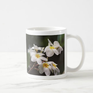 Plumeria Kaffeetasse