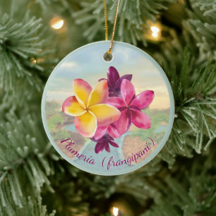 Plumeria Keramik Ornament