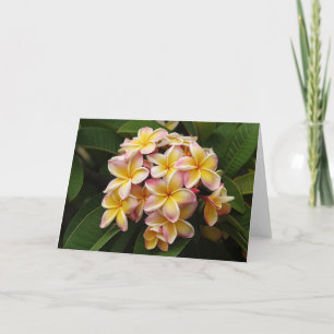 Plumeria-Kunstanmerkungskarte Karte