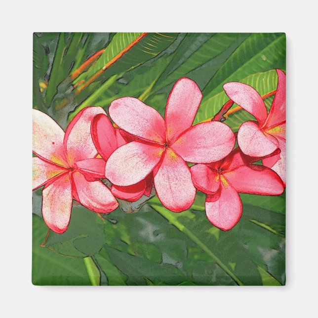 Plumeria Magnet (Vorne)