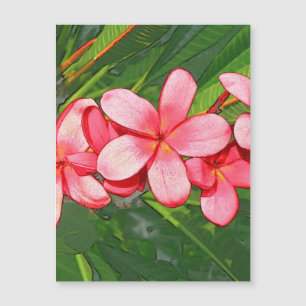 Plumeria Magnetkarte