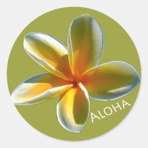 Plumeria mit Aloha Runder Aufkleber