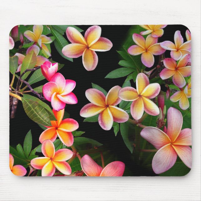 Plumeria Mouse Pad Mousepad (Vorne)