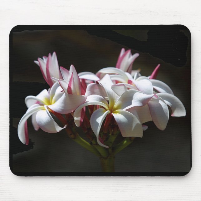 Plumeria Mousepad (Vorne)