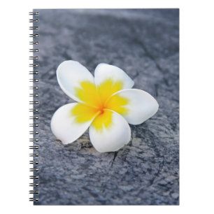 Plumeria Notizblock