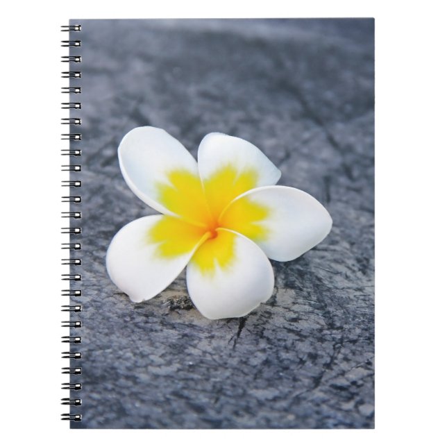 Plumeria Notizblock (Vorderseite)