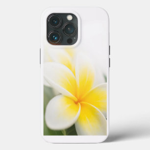plumeria OtterBox coque iphone