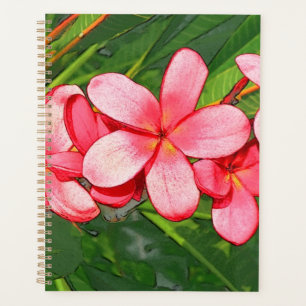 Plumeria Planer