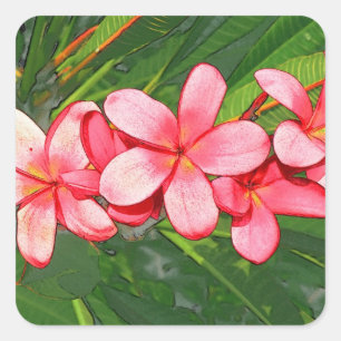 Plumeria Quadratischer Aufkleber