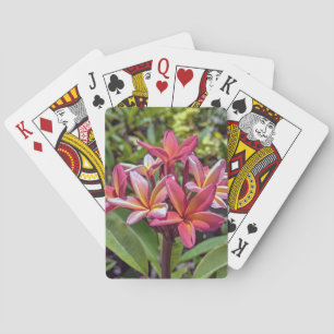 Plumeria Rubra Blume Spielkarten