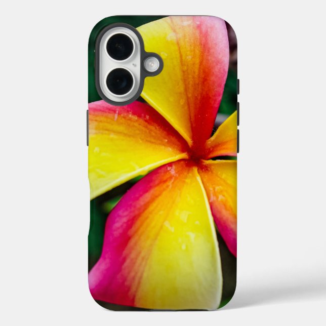 Plumeria rubra iPhone 16 hülle (Rückseite)