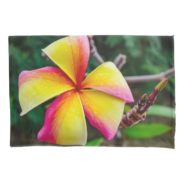 Plumeria rubra kissenbezug (Vorderseite)