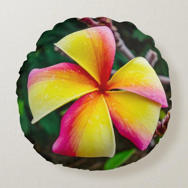 Plumeria rubra rundes kissen (Vorderseite)