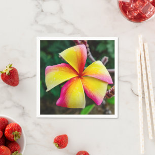 Plumeria rubra serviette
