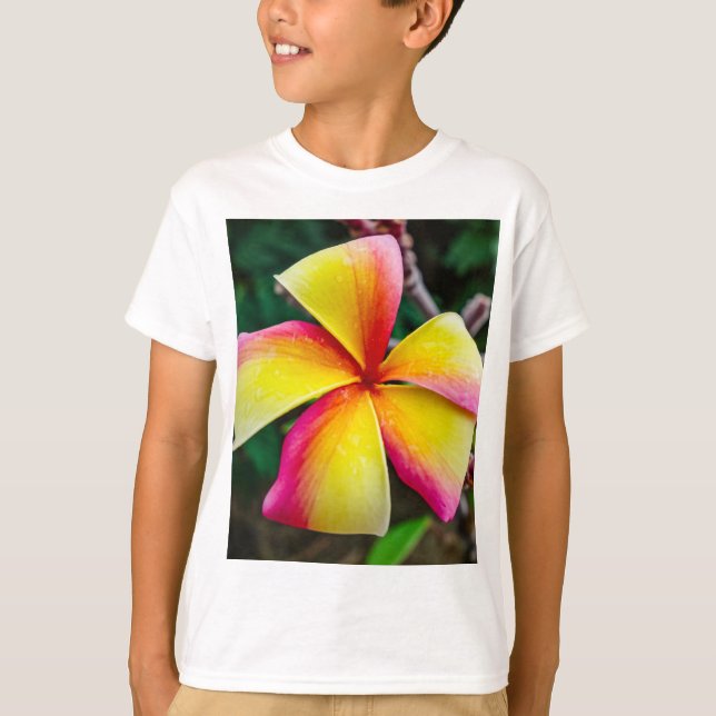 Plumeria rubra T-Shirt (Vorderseite)