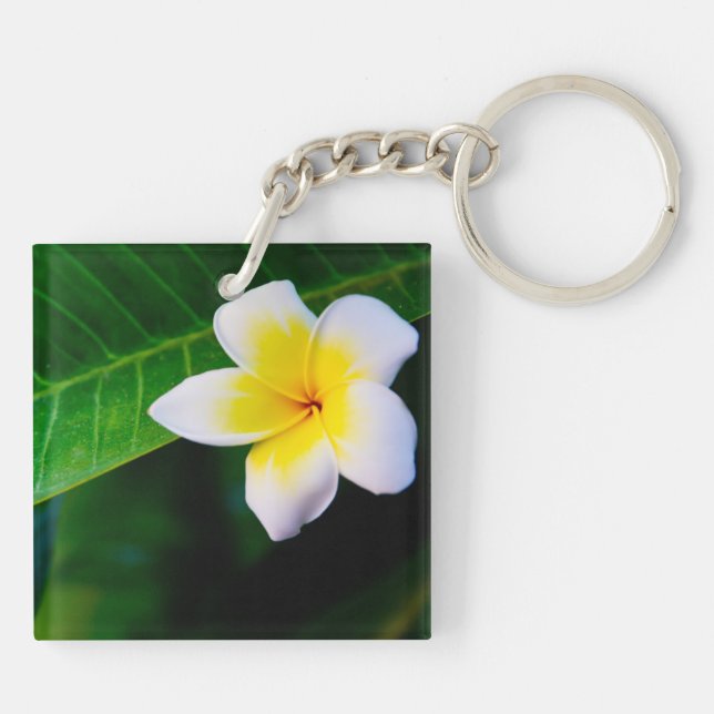 Plumeria Schlüsselanhänger (Rückseite)